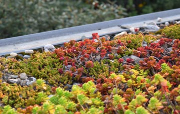 the cost of Wolverley green roof installation