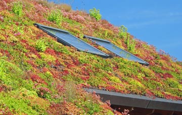 Wolverley living roof systems